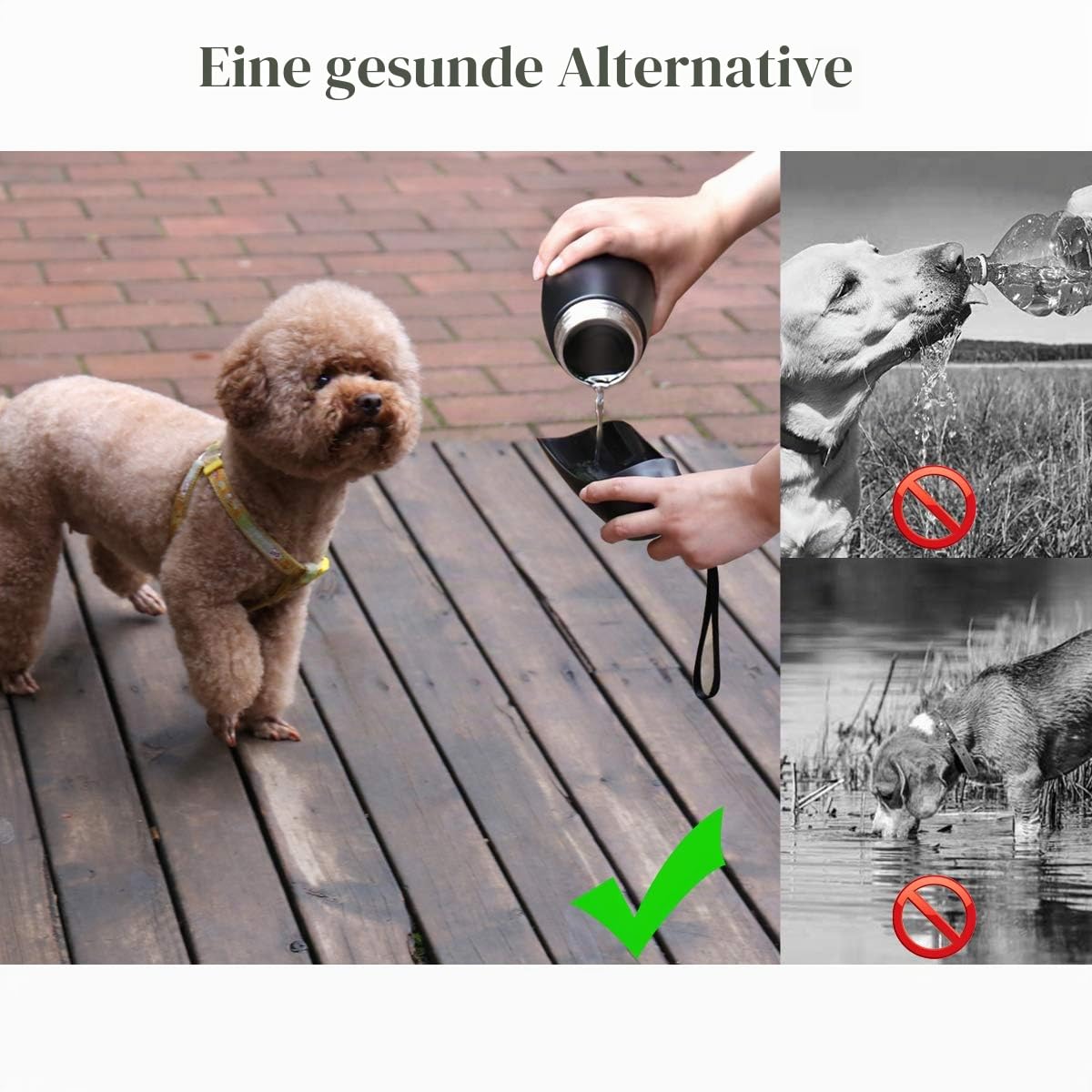 VIVAGLORY Pawhike Hundetrinkflasche, Hunde Trinkflasche für Unterwegs, Hundetrinkflasche, Edelstahl & Tragbare, 750ml, Schwarz
