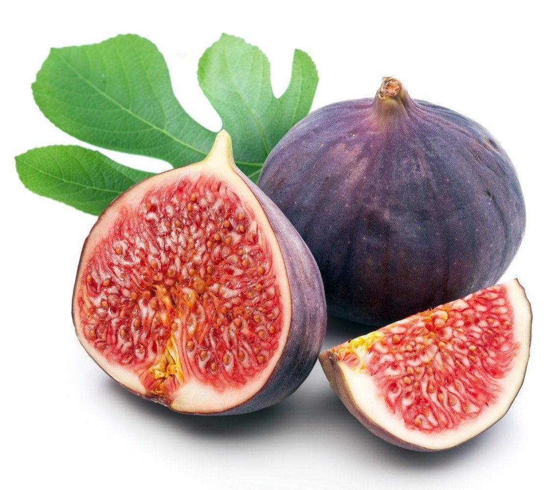 Semi di GERMINAZIONE: Essbare Chicago Abb Pflanze - Ficus - Hardy - 4" Pot - Die widerstandsfähigsten Fig