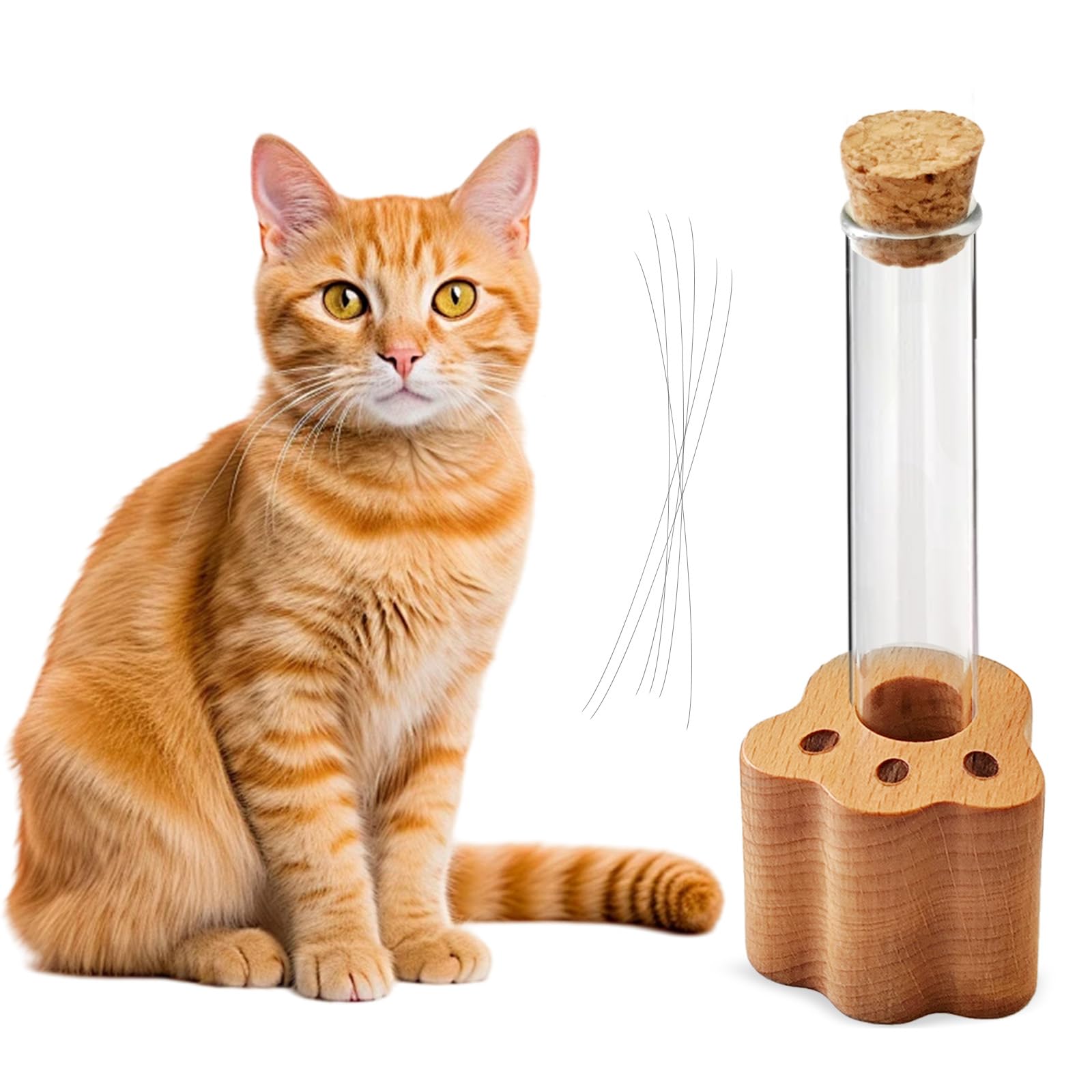 Allenkwok Cat Whisker Jar, Mini Glass Vase for Whiskers, Cat Whisker Holder, Elegant Memorial Gift for Pet Lovers