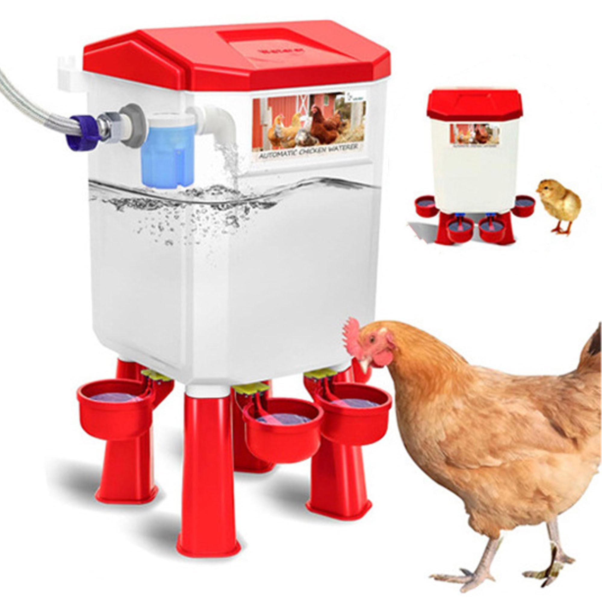 Regadera automática para pollos, 7 L, patas ajustables, manguera de acero inoxidable, ideal para pollos de patio trasero y granjas pequeñas