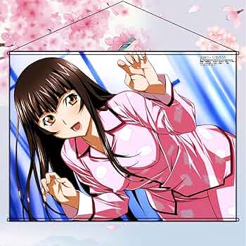 Amazon.co.jp: タペストリー 一騎当千ikkitousen 典韋 ポスター アニメ