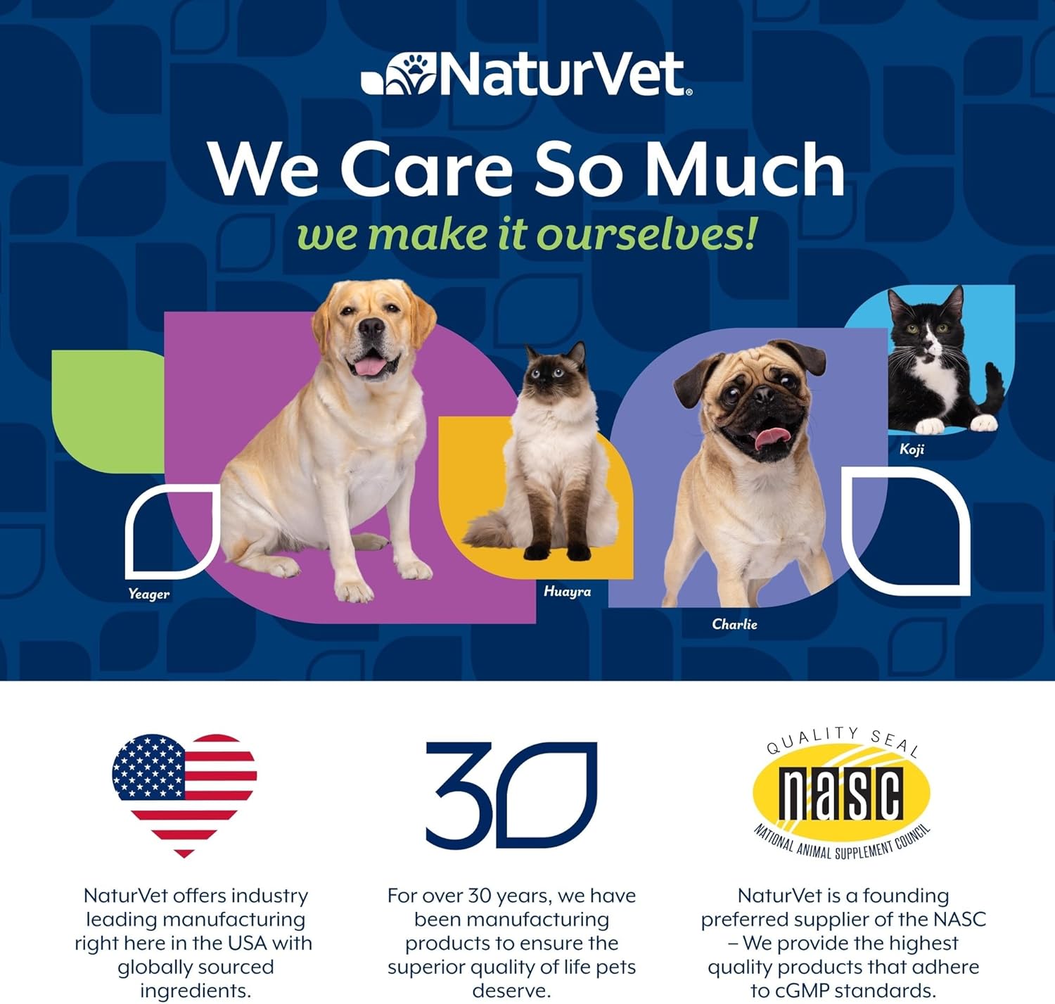 NaturVet Bladder Support Plus Cranberry for Dogs, 60 ct Soft Chews, Made in The USA with Globally Source Ingredients