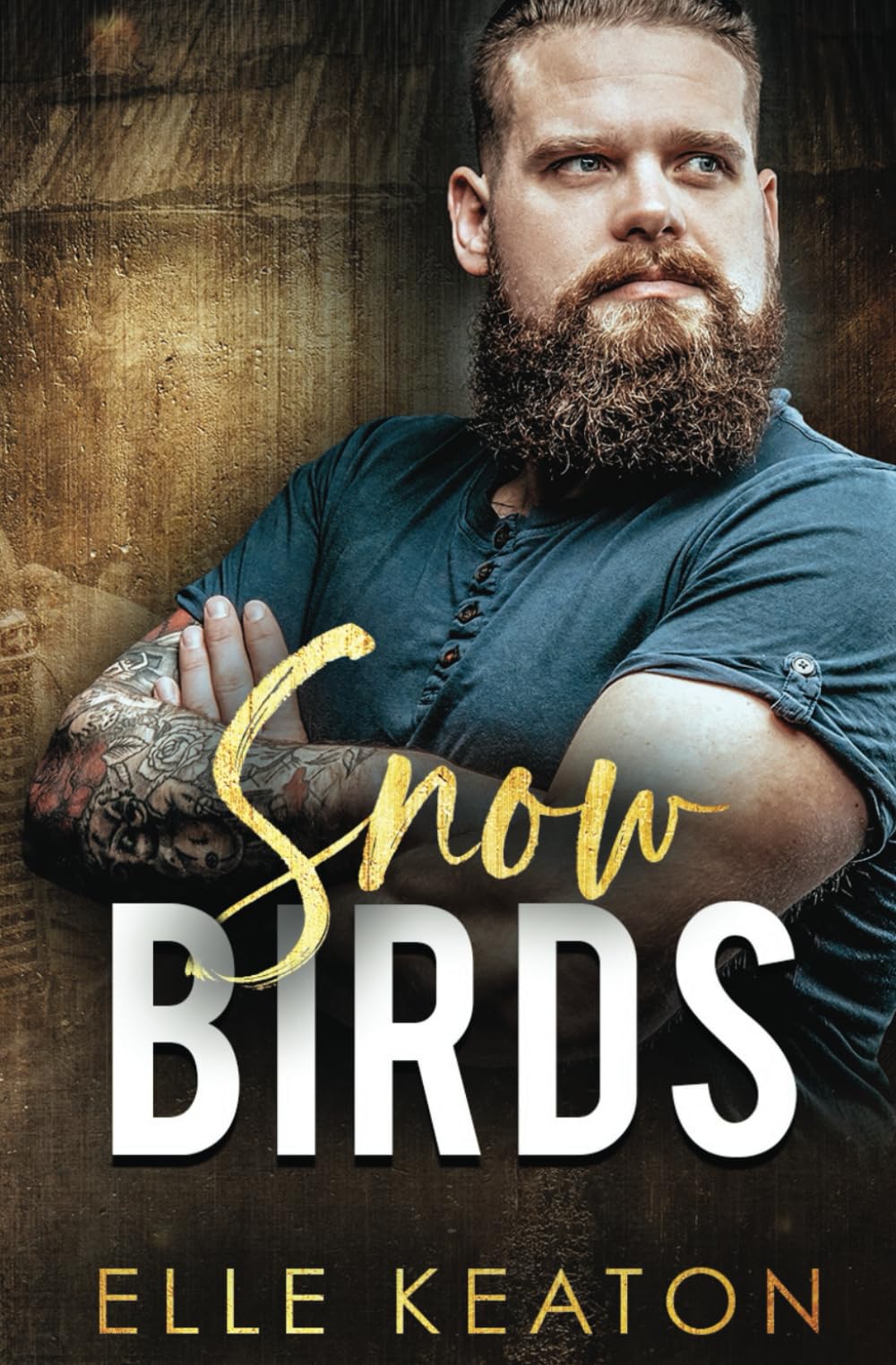 Snowbirds: A Reclaimed Hearts Novella