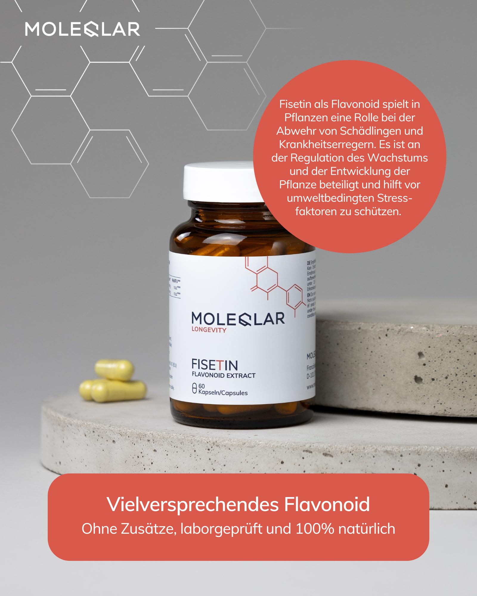MoleQlar Fisetin 100 mg Capsules, Boîte de 60, Complément Alimentaire avec 200 mg issu d’Extrait de Fraise par Portion, Gélules Pratiques pour une Prise Quotidienne Facile et Simplement Dosée