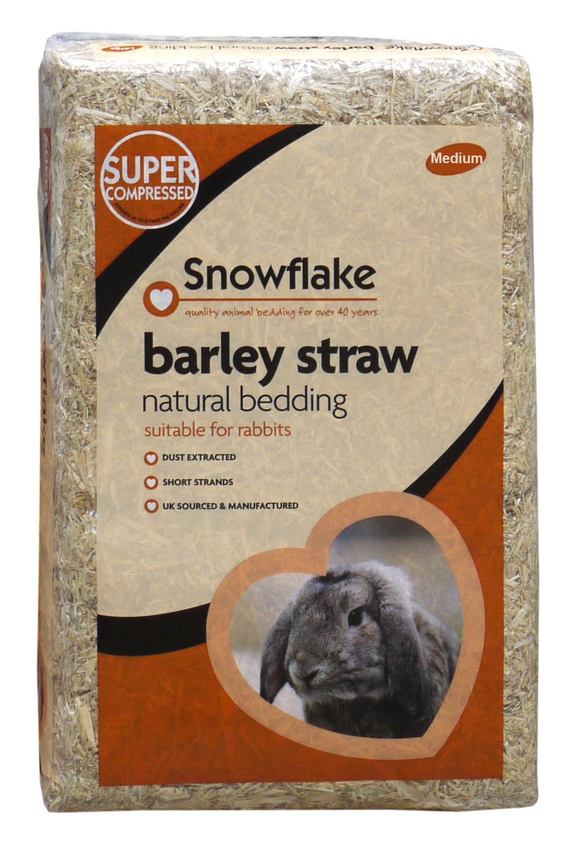 Snowflake Barley Straw, Medium