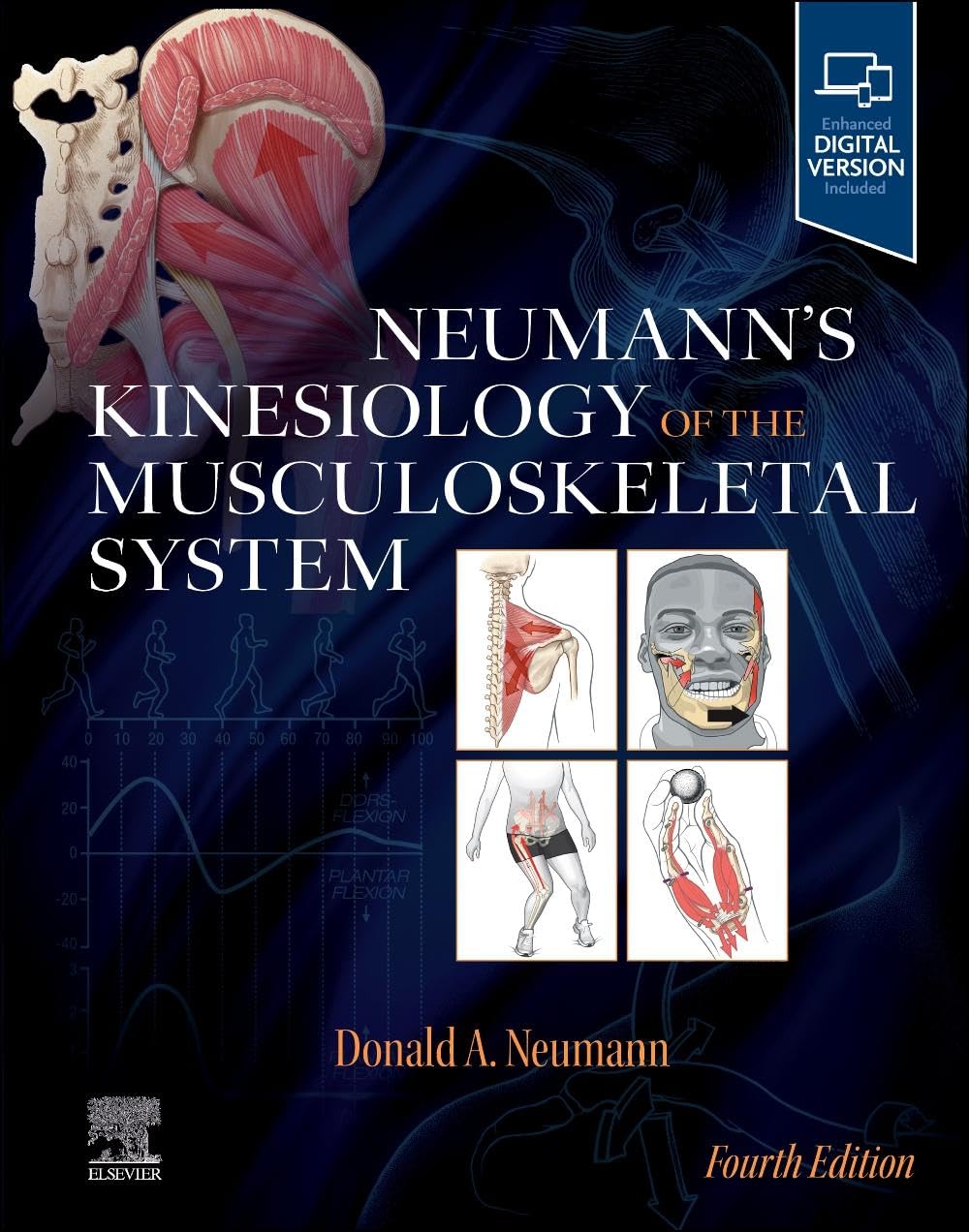 Neumann’s Kinesiology of the Musculoskeletal System      4th Edition
