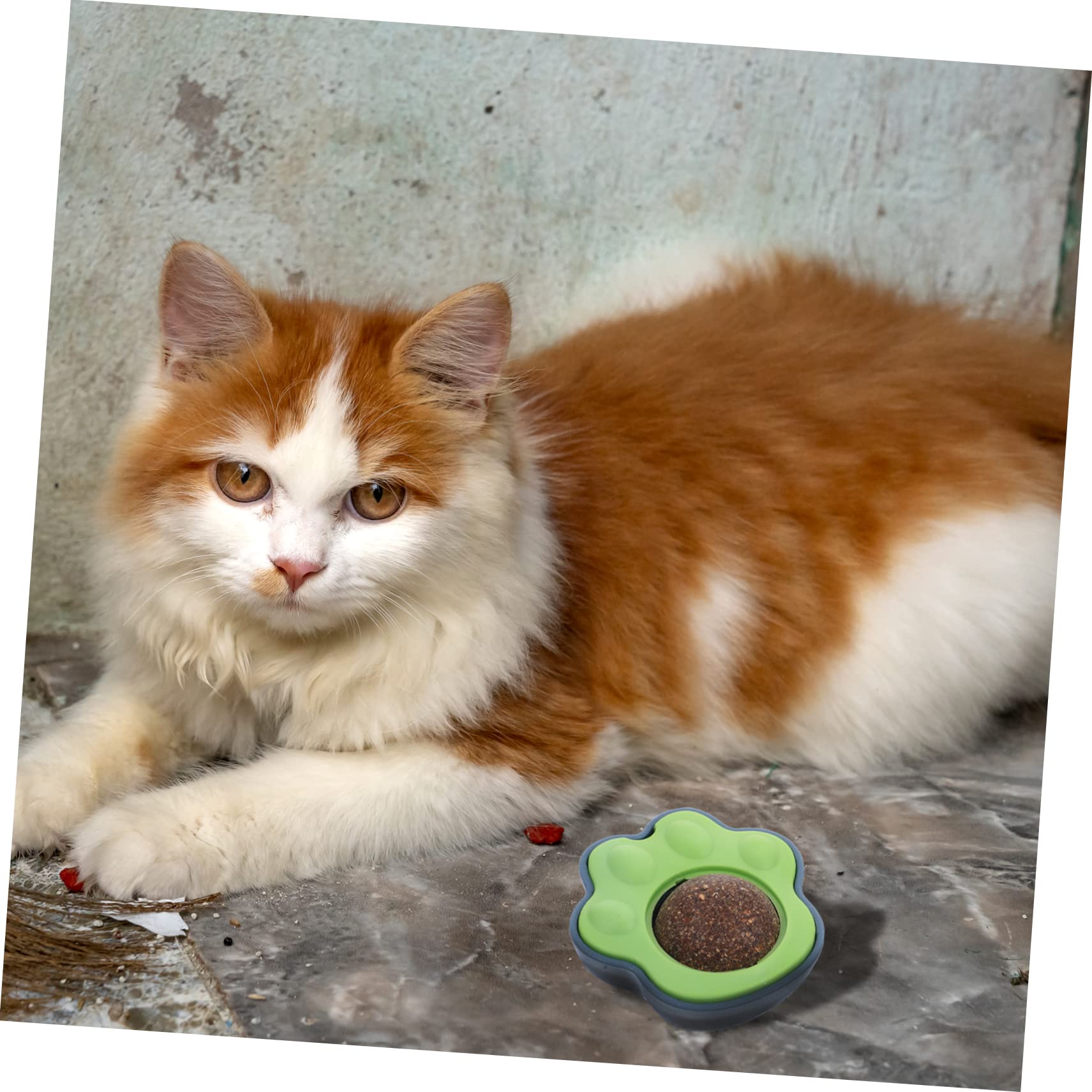 YARNOW 10 Juegos Gatera Juguete para Mascotas Gatitos Dulces Juguetes para Gatos Juguete Gatito Juguete Interactivo para Gatos Lamiendo Merienda El Plastico