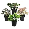 Product Photo 9