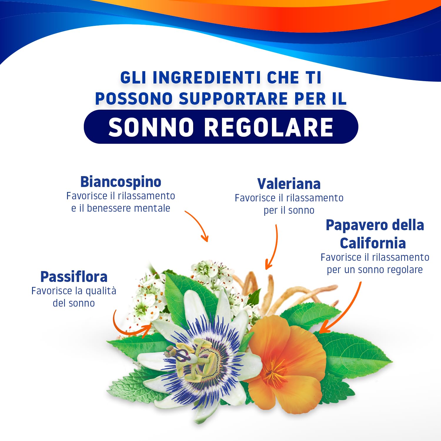 Valdispert Notte Intera, 30 Compresse a Lento Rilascio per il Sonno Regolare con Valeriana, Passiflora, Biancospino e Papavero della California, Senza Glutine e Senza Lattosio