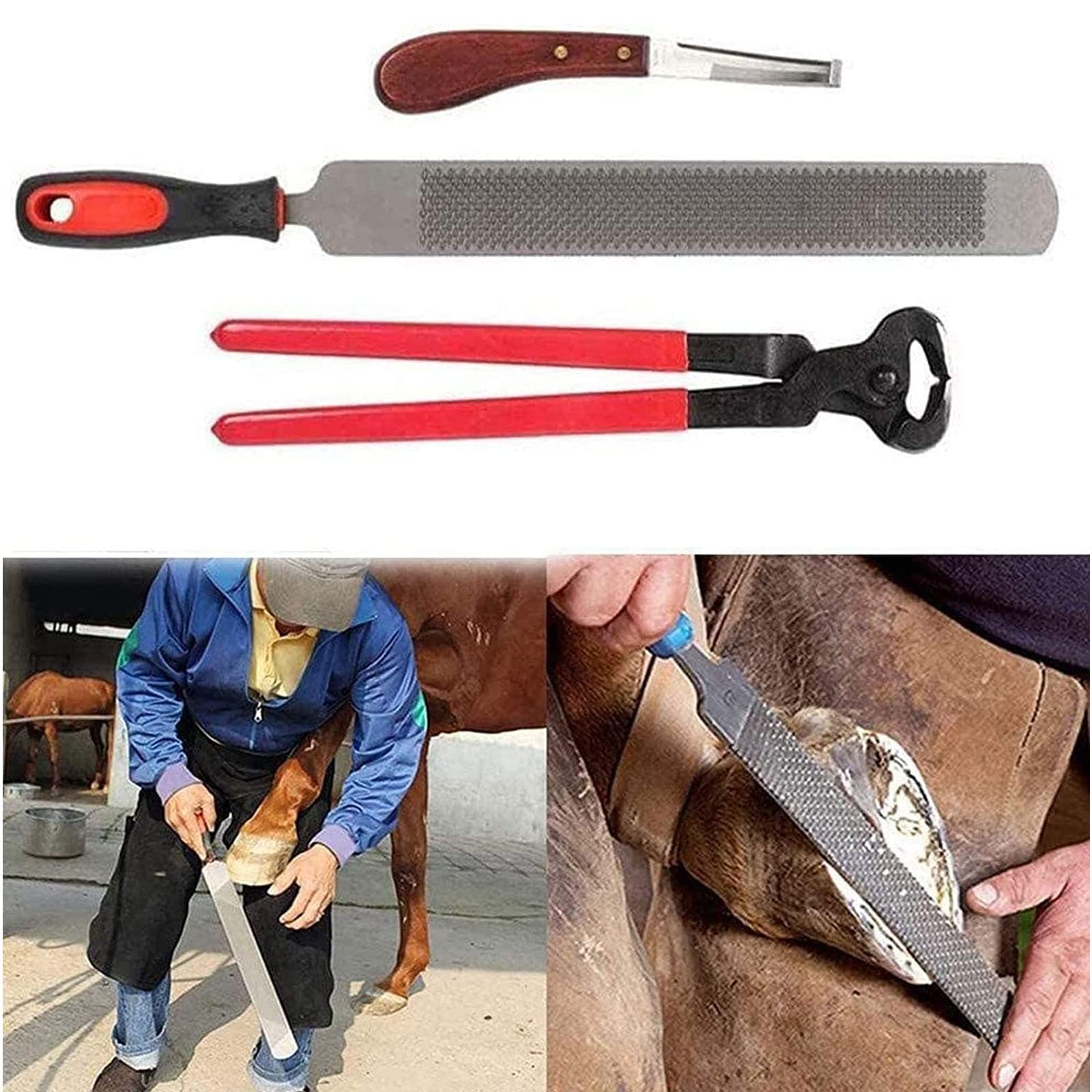 Kit De Herramientas para Recortar Cascos De Caballos, Tijeras De Metal De 14'' para Recortar Cascos De Caballos, Cortador De Cascos De Herradores Equinos con Herramienta,