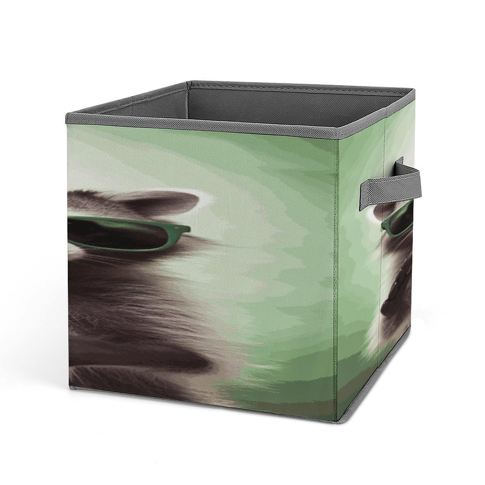 Fekiloot Style Funny Raccoon Green Sunglasses Storage Bins Storage Baskets