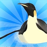 atractivo racha de pingüino lindo