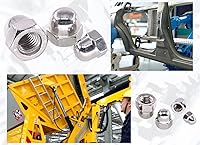 Vista 6 de #6-32#8-32#10-24 1/4-20 5/16-18 3/8-16 SAE 304-Acero inoxidable Bellota cabeza cabeza hexagonal tuercas surtidas