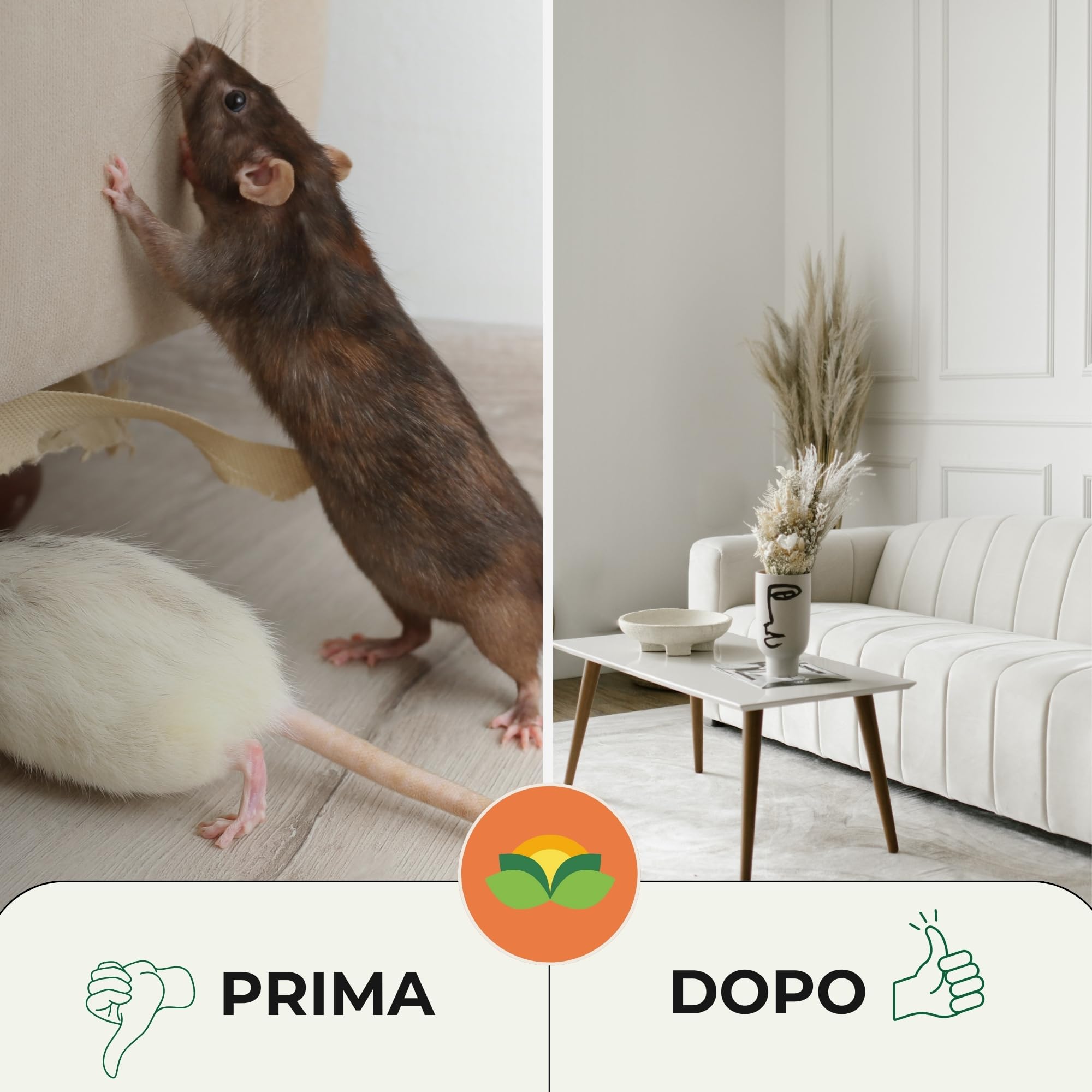 Albagarden - Trappola Adesiva MINI per Topi, Ratti, Scarafaggi, Formiche e Lucertole. Tavoletta con Colla Potente e Aroma Alimentare, Uso Interno ed Esterno x 2 Pz