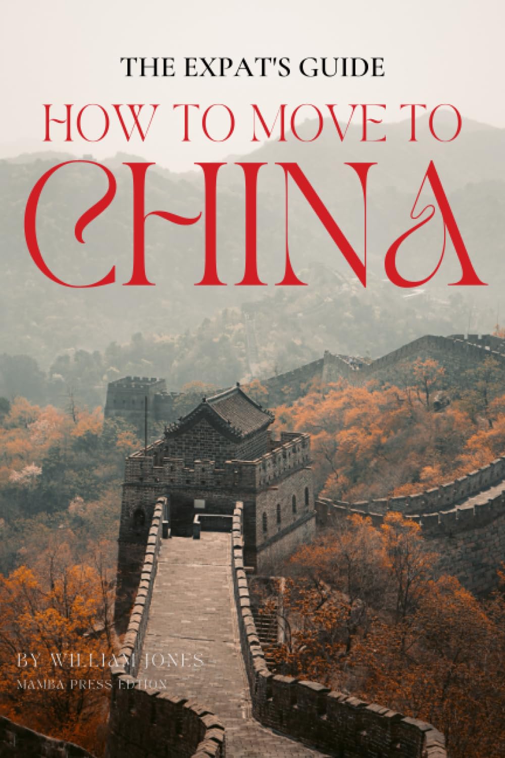The Expat's Guide: How to Move to China
