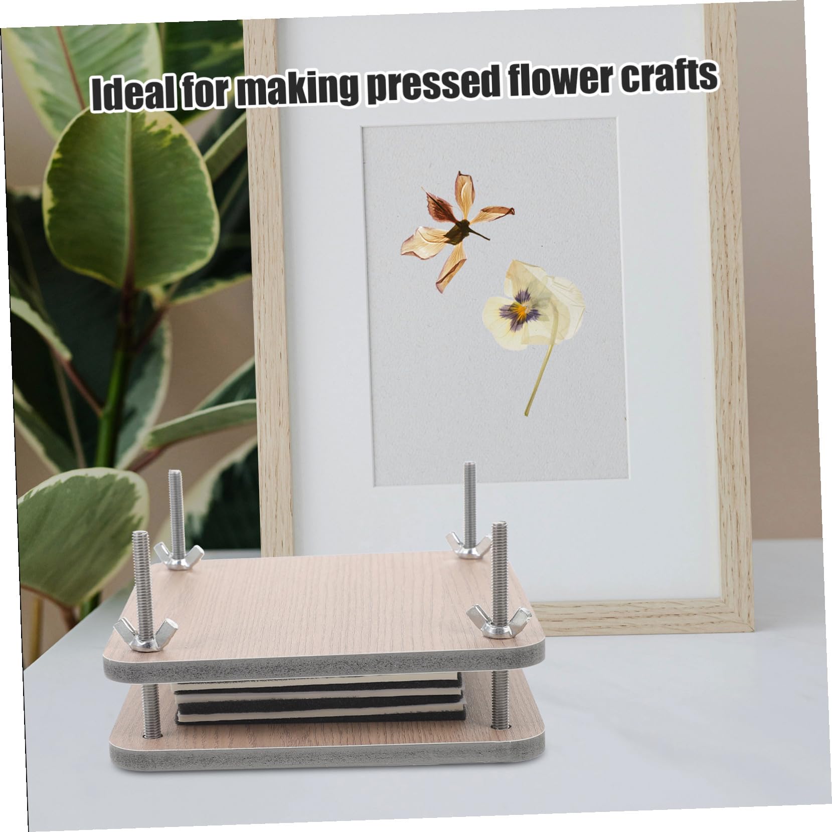 Gatuida Kit per Pressare Fiori in Legno Miniatura Strumento per Essiccare e Pressare Piante Creativo Fai da Te per Amanti di Botanica e Artigianato