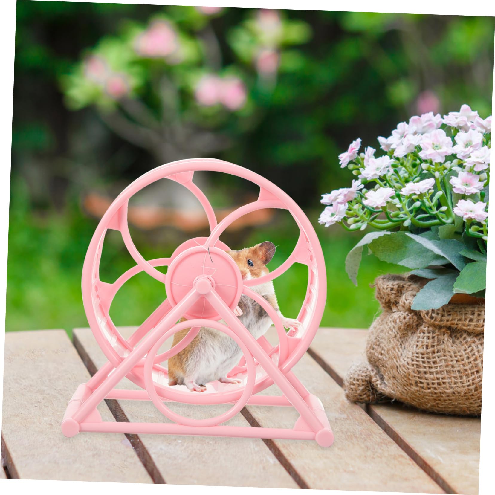 POPETPOP Silent Hamster Wheel 12-inch Adjustable Exercise Wheel for Hamsters Gerbils and Guinea Pigs Sturdy Plastic Non-Slip Base for Indoor PET Cages - image 8