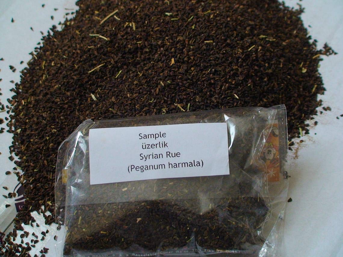 TOMHY Seeds Package: 250G Seed Aspand Incense