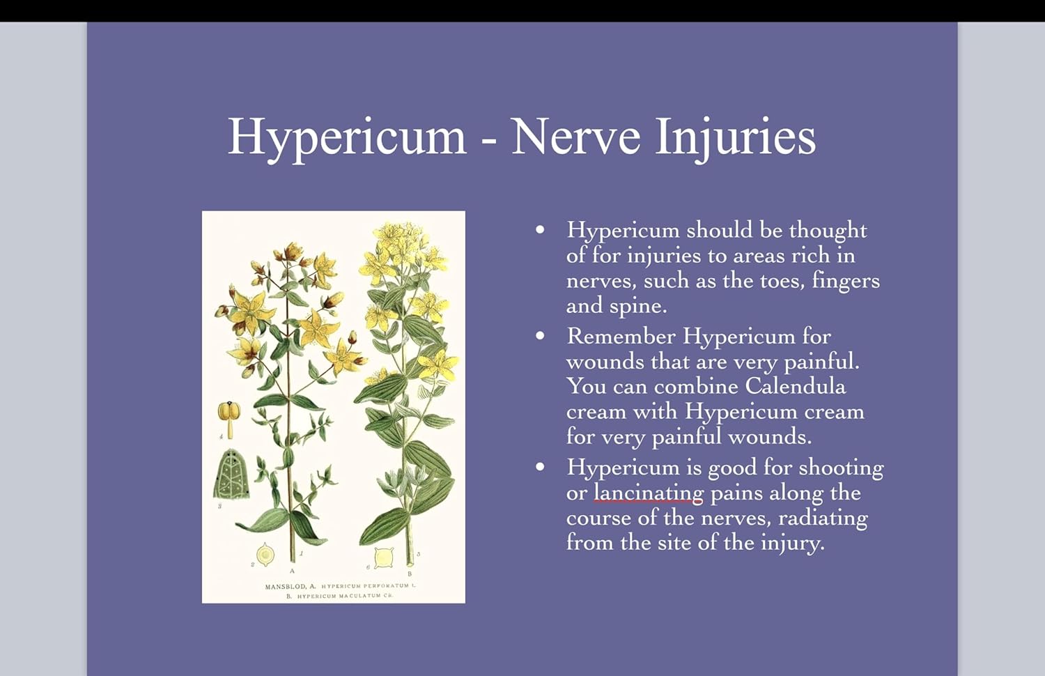 Hypericum Calendula Cream 6 pack