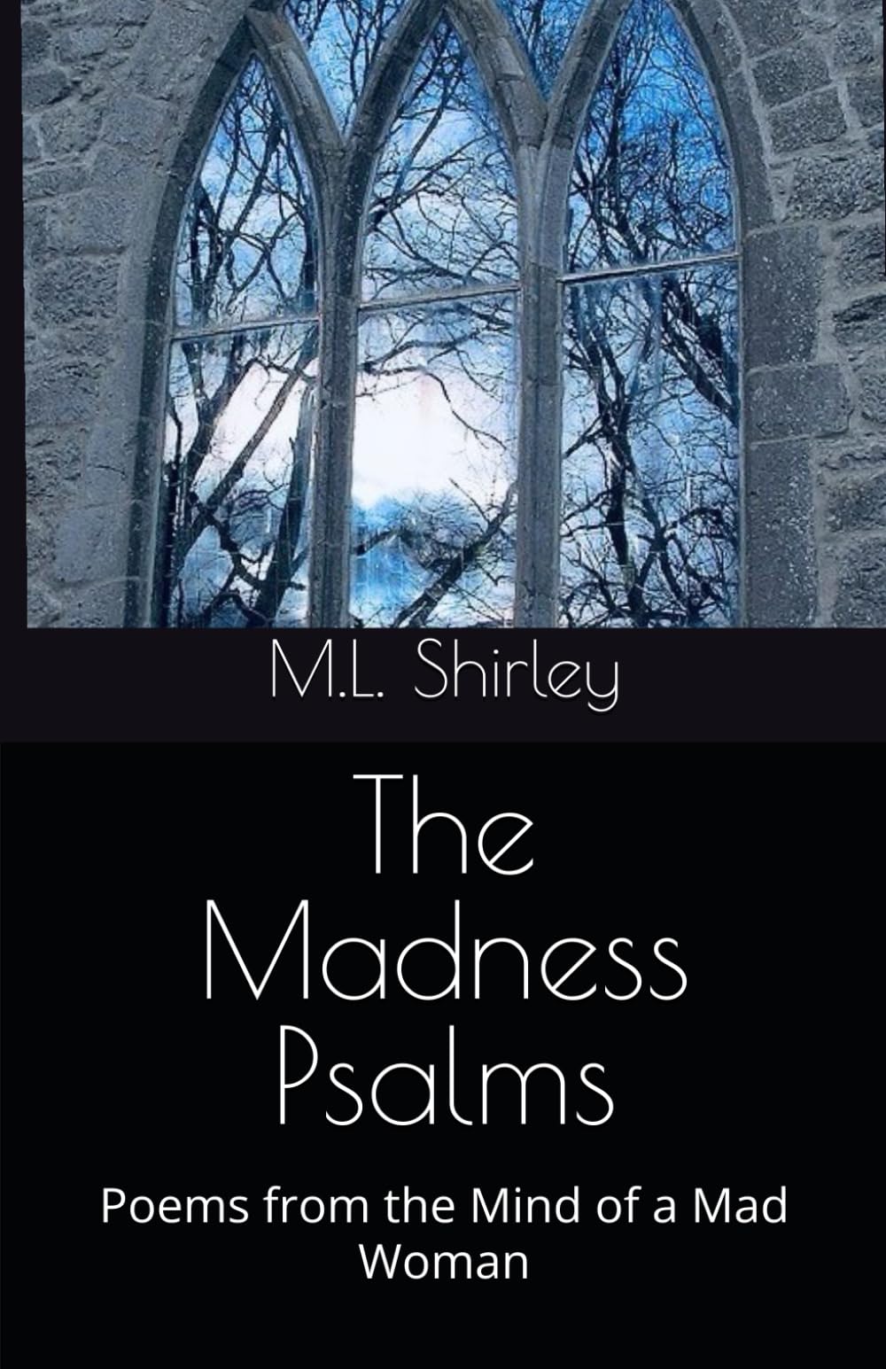 The Madness Psalms: Poems from the Mind of a Mad Woman (Lost in Madness)