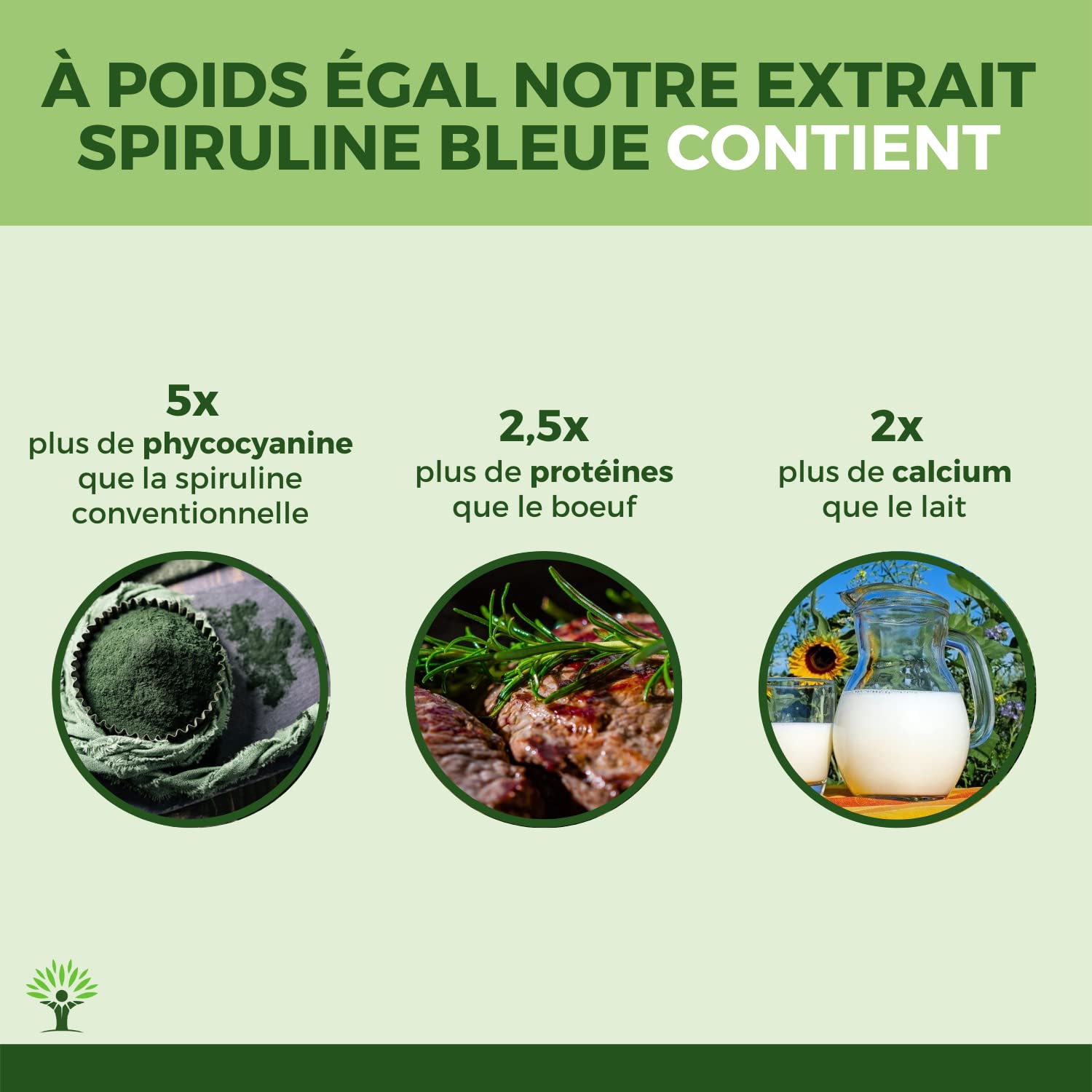 Spiruline Bleue Bio - Bioptimal - En Poudre - 30% Phycocyanine Blue 80% Protéines - Colorant Alimentaire Bleu Intense - Cuisine Recette - Contrôlé et Conditionné en France - Certifié Par Ecocert - 50g