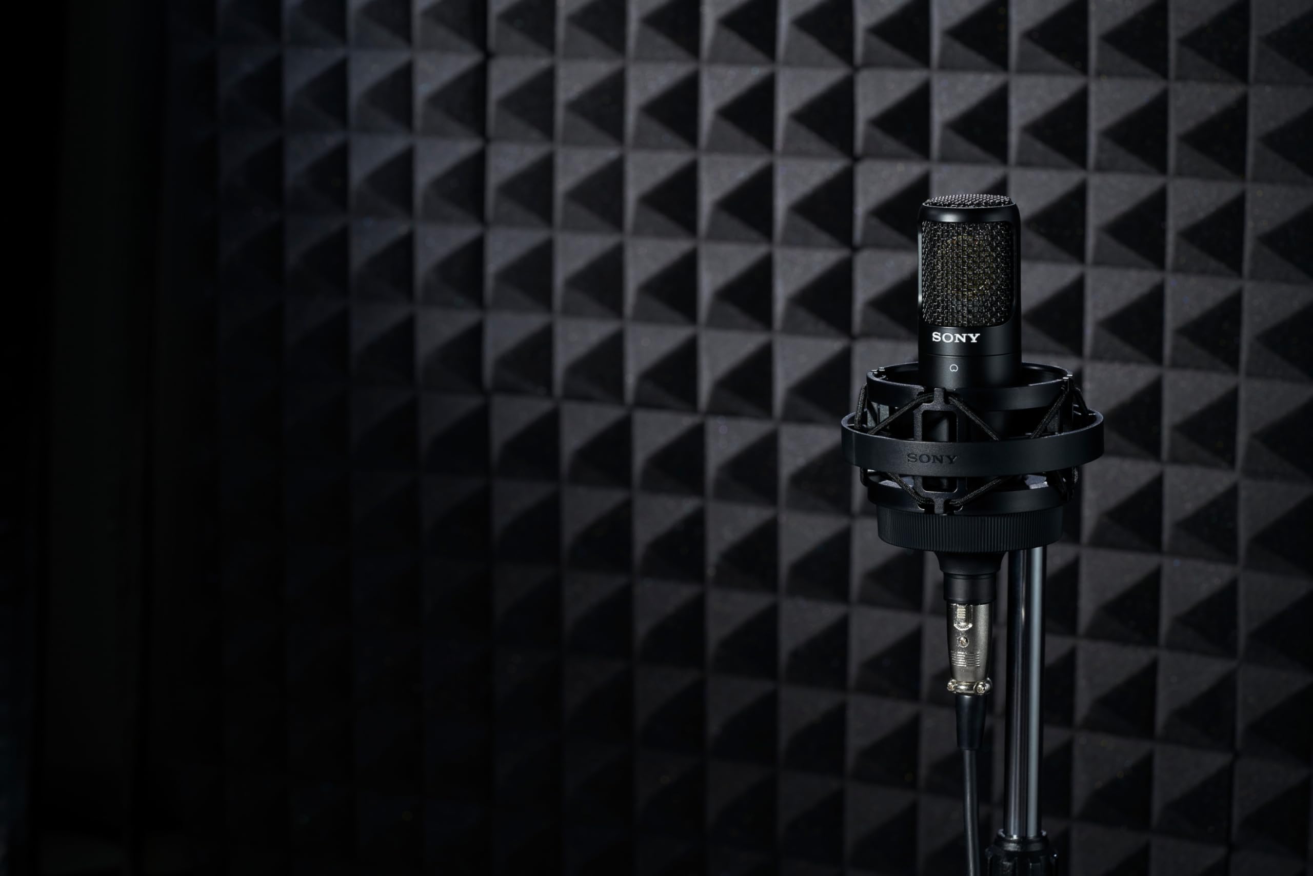 Micrófono de Estudio SONY-C80 Pro Audio; Rango de frecuencia de 20 Hz a 20 kHz; unidireccional; diseño con supresión de Ruido; tecnología Avanzada de la cápsula; XLR - Podcasts y grabación; Negro