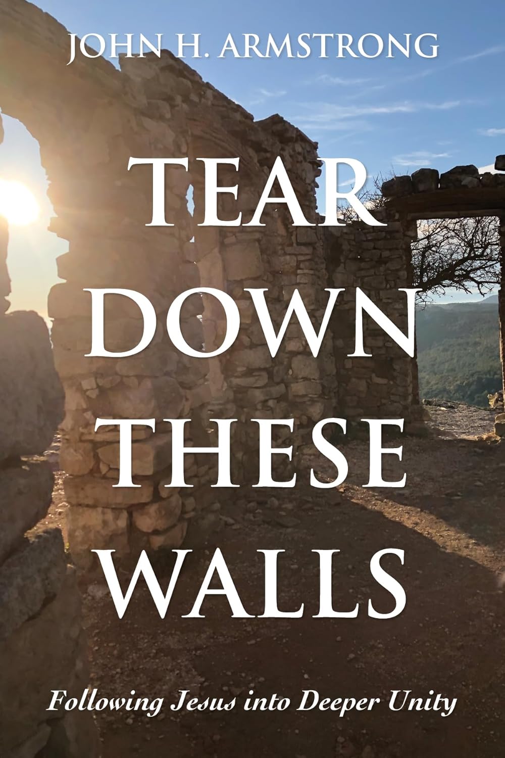 Tear Down These Walls: Following Jesus Into Deeper Unity