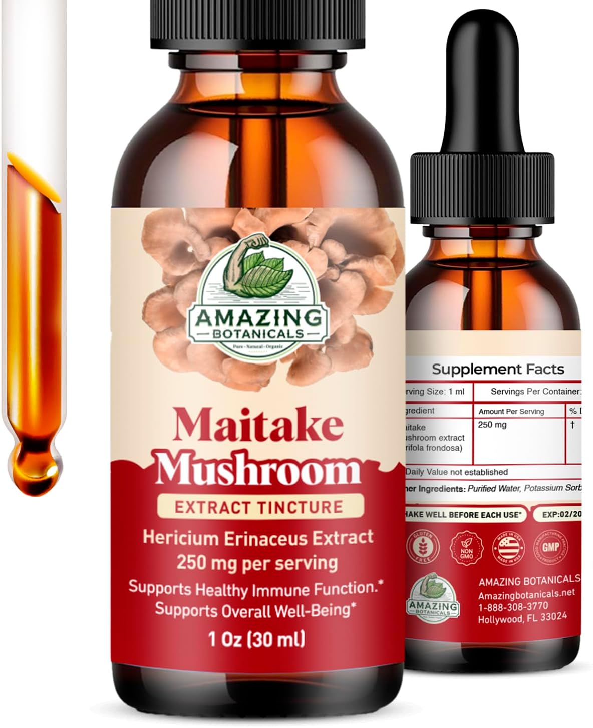 Amazing Botanicals Maitake Mushroom Extract – Liquid Maitake Supplement for Daily Wellness – Vegan, Alcohol-Free, Sugar-Free Drops – 1 fl oz