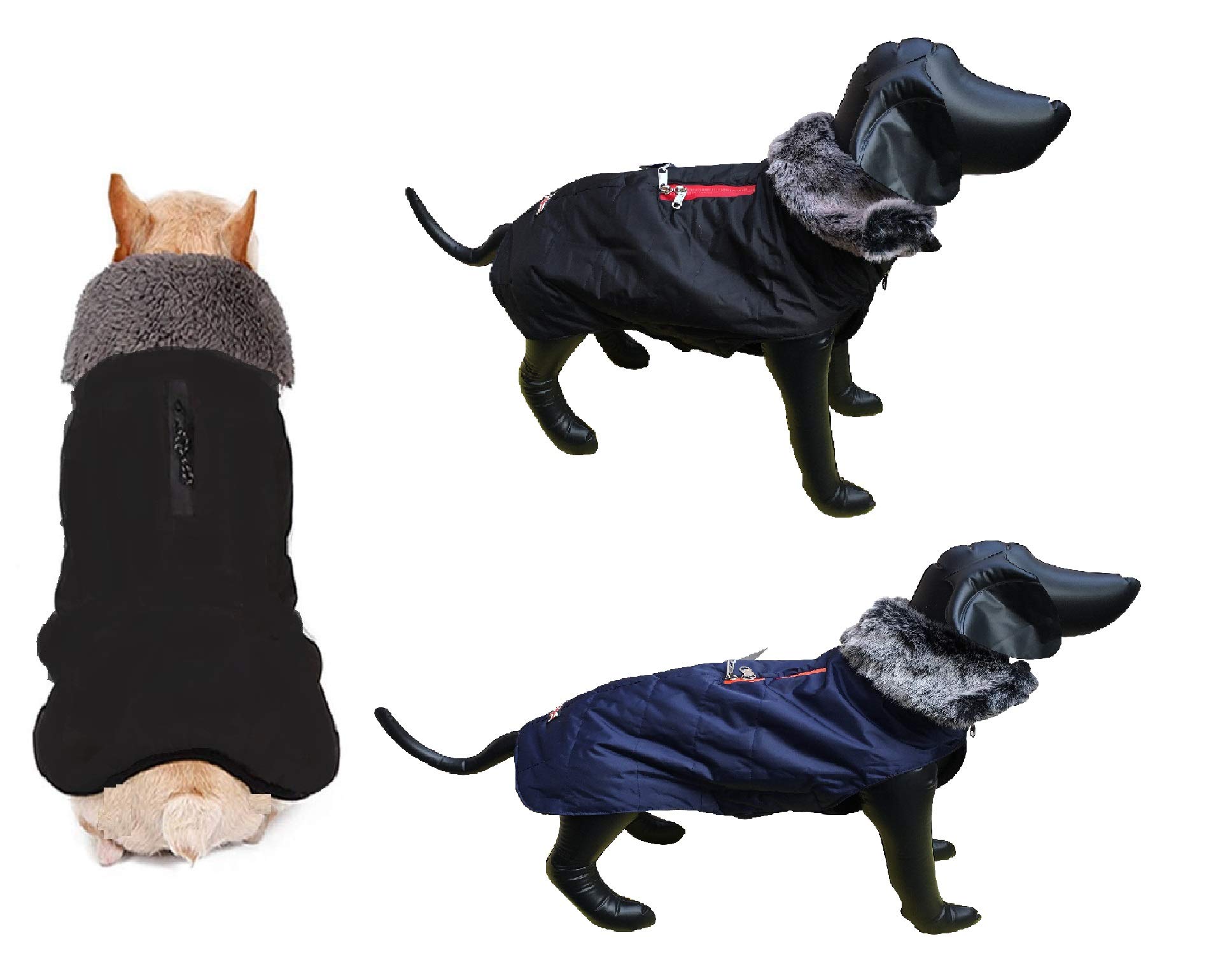 The DDS Store Dog Jackets for Winter Windproof Waterproof Dog Coat for Cold Weather British Style Warm Dog Vest (14 Inch, Blue)