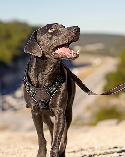 Miniatura 5 de Joytale Arnés sin tirones para perros grandes, chaleco reflectante para mascotas con clip frontal, arnés acolchado suave ajustable con asa de fácil