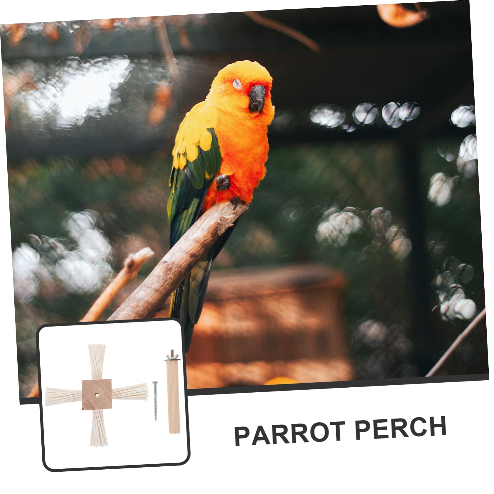 BESPORTBLE 4piezas Percha para Aves Soporte De Jaula para Periquitos y Cacatúas Estable y De Instalar Accesorio para y Ejercicio De Patas