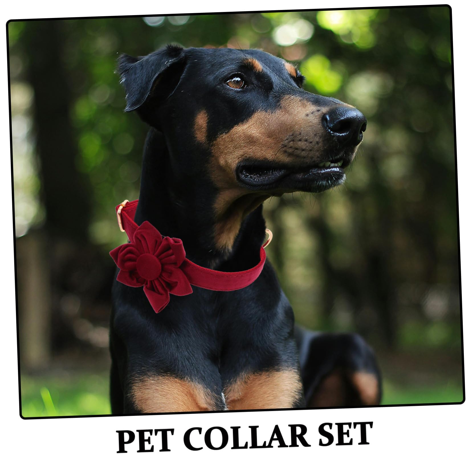 HANABASS Collari Per Animali Domestici Collari Per In Con Fiori Collare Regolabile Per Collare Per Con Margherite