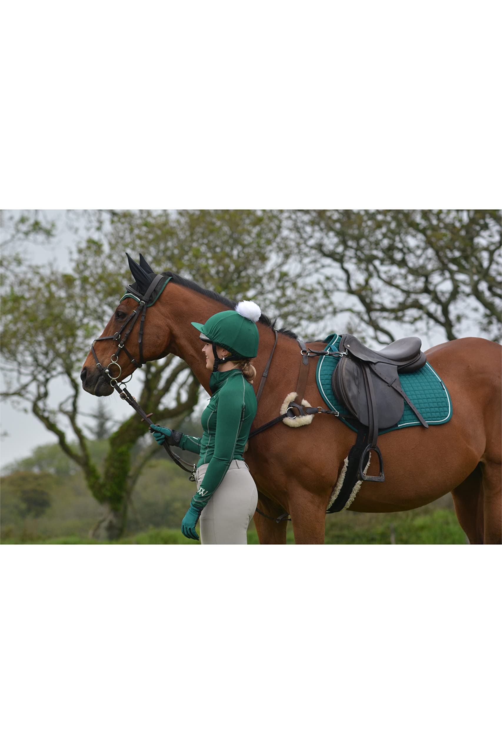 Choisir sa selle de dressage - Les marques les plus célèbres