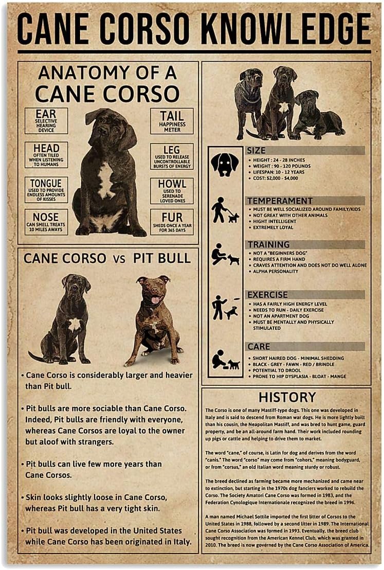 Amazon.com: Cane Corso Knowledge Metal Tin Signs Cane Corso Information ...