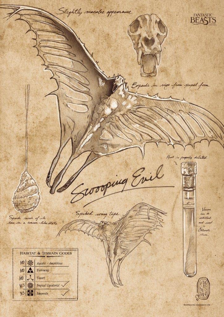 Amazon.com: MIGHTYPRINT Fantastic Beasts And Where To Find Them