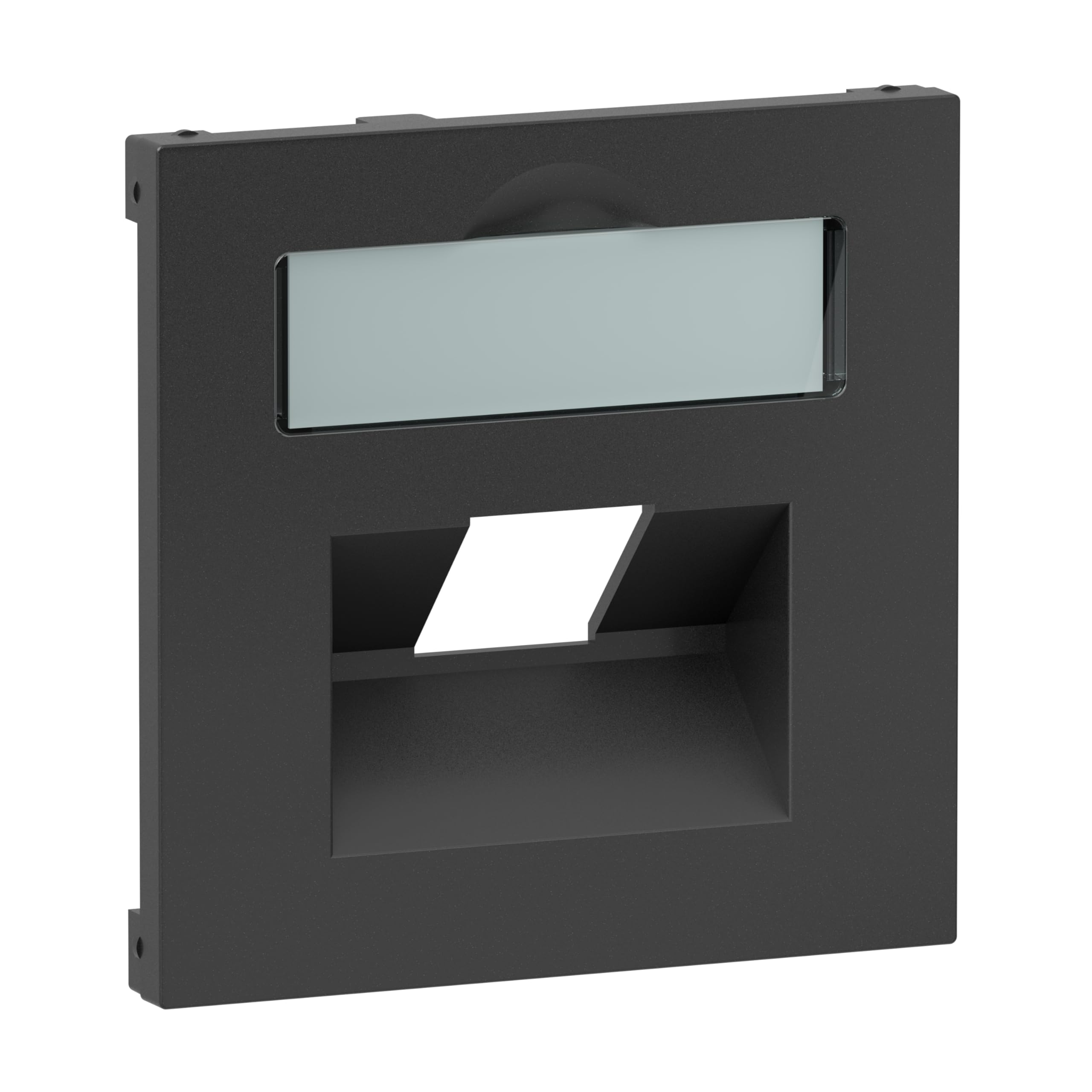 LEGRAND, Seano 765458 Cover 1 x RJ45 for Data Sockets from Metz, Telegärtner and Rutenbeck with Labelling Field, Colour: Anthracite Lacquered