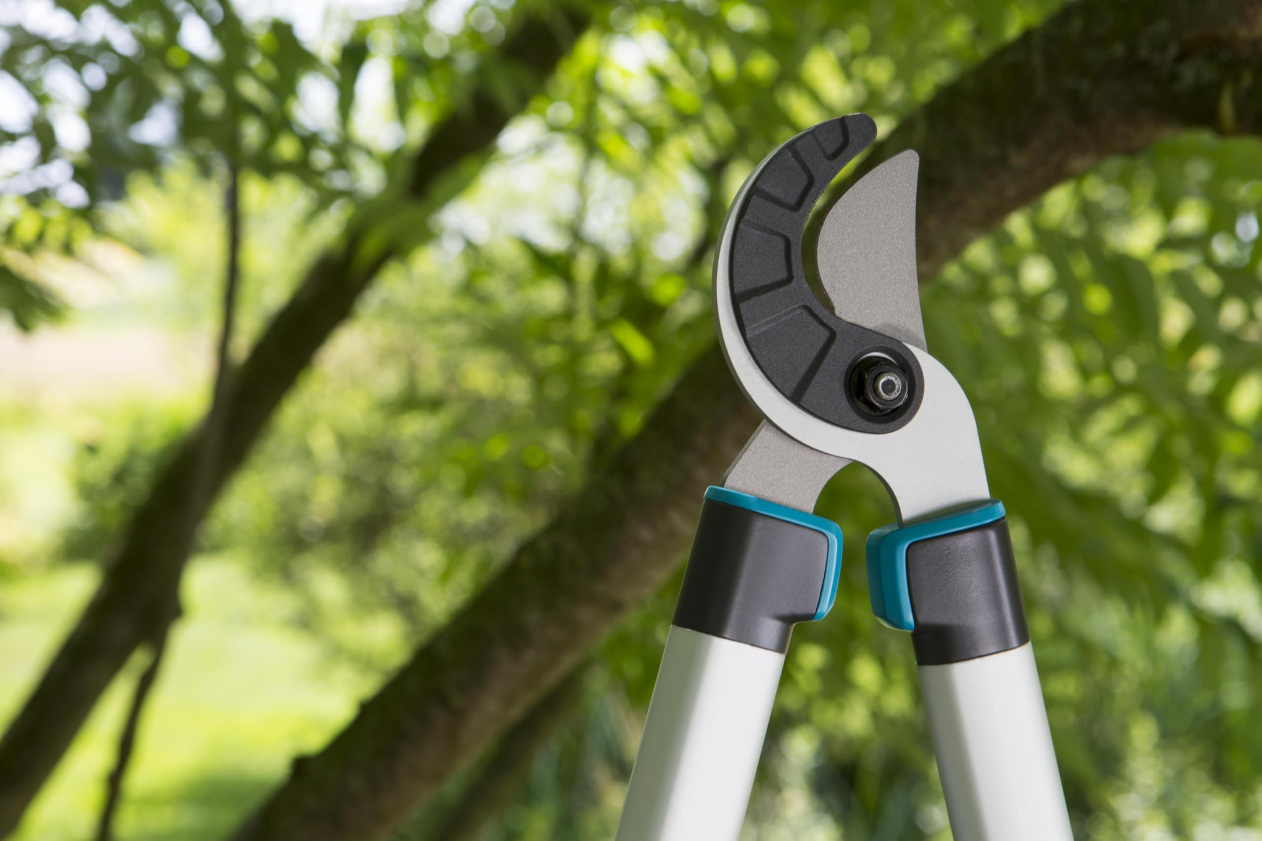 Gardena nożyce do gałęzi EasyCut 680 A: kowadłowe nożyce do gałęzi do cięcia twardego, suchego drewna, powłoka antyadhezyjna, uchwyt ErgoTec (12004-20)