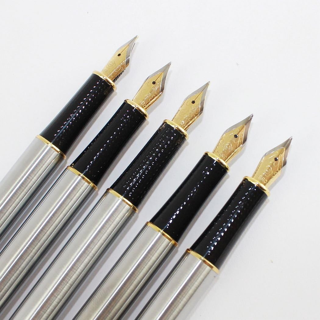 Gullor 10 PCS Medium Fountain Pen Pure Silver