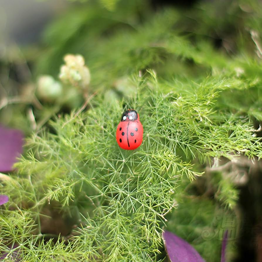 てんとうむし6点セット Amazon.co.jp: Hozilen てんとう虫の時計仕掛けのおもちゃ、歩く