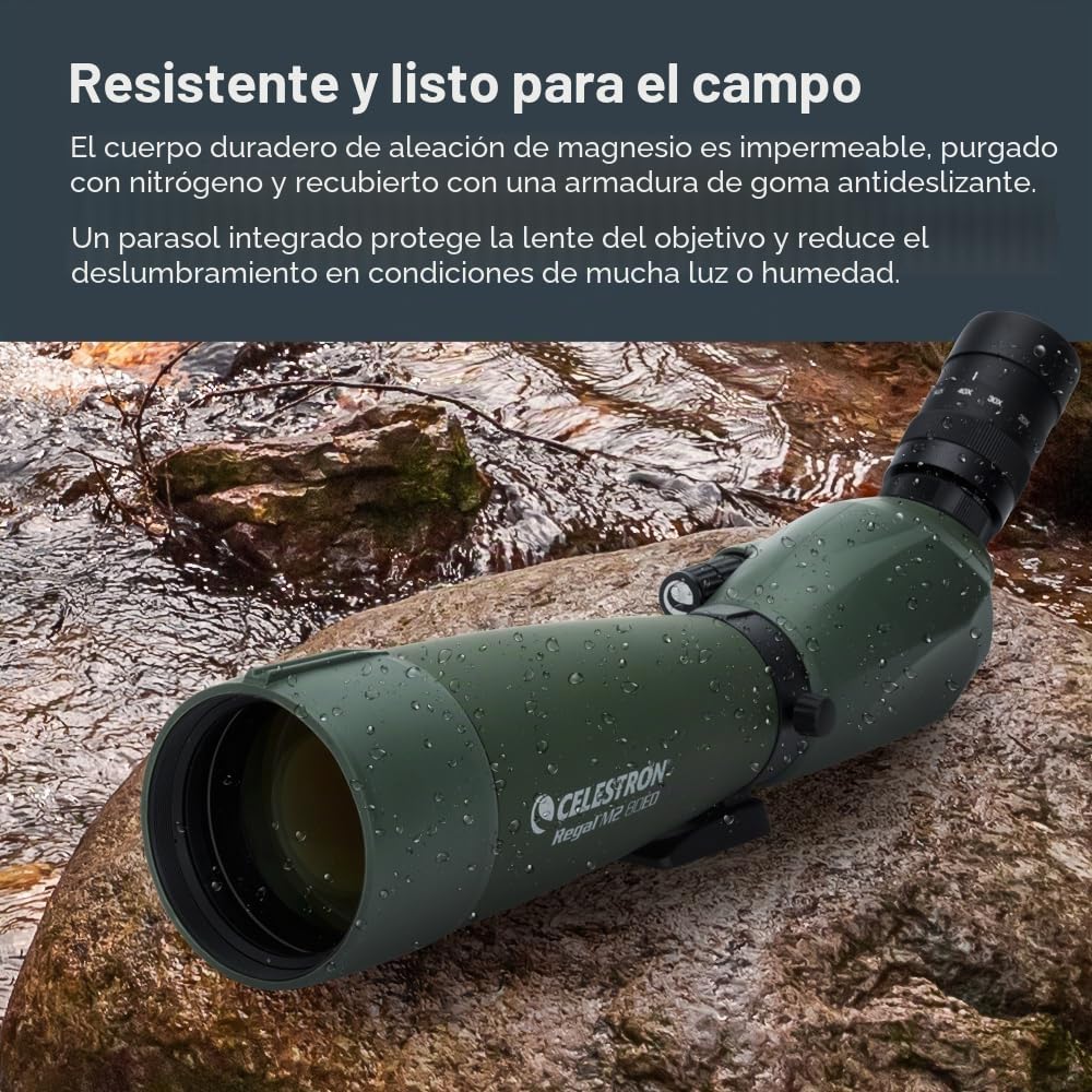 Celestron 52305 Regal M2: telescopio terrestre con zoom angular ED de 20-60x80 mm, con óptica multicapa, prismas de cristal BaK-4, cuerpo ligero de aleación de magnesio y funda de transporte acolchada