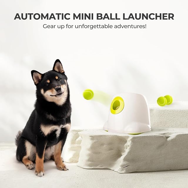 Foto 7 de 8 de ALL FOR PAWS Lanzador automático Interactivo para Perros, máquina de Lanzamiento de Pelotas de Tenis