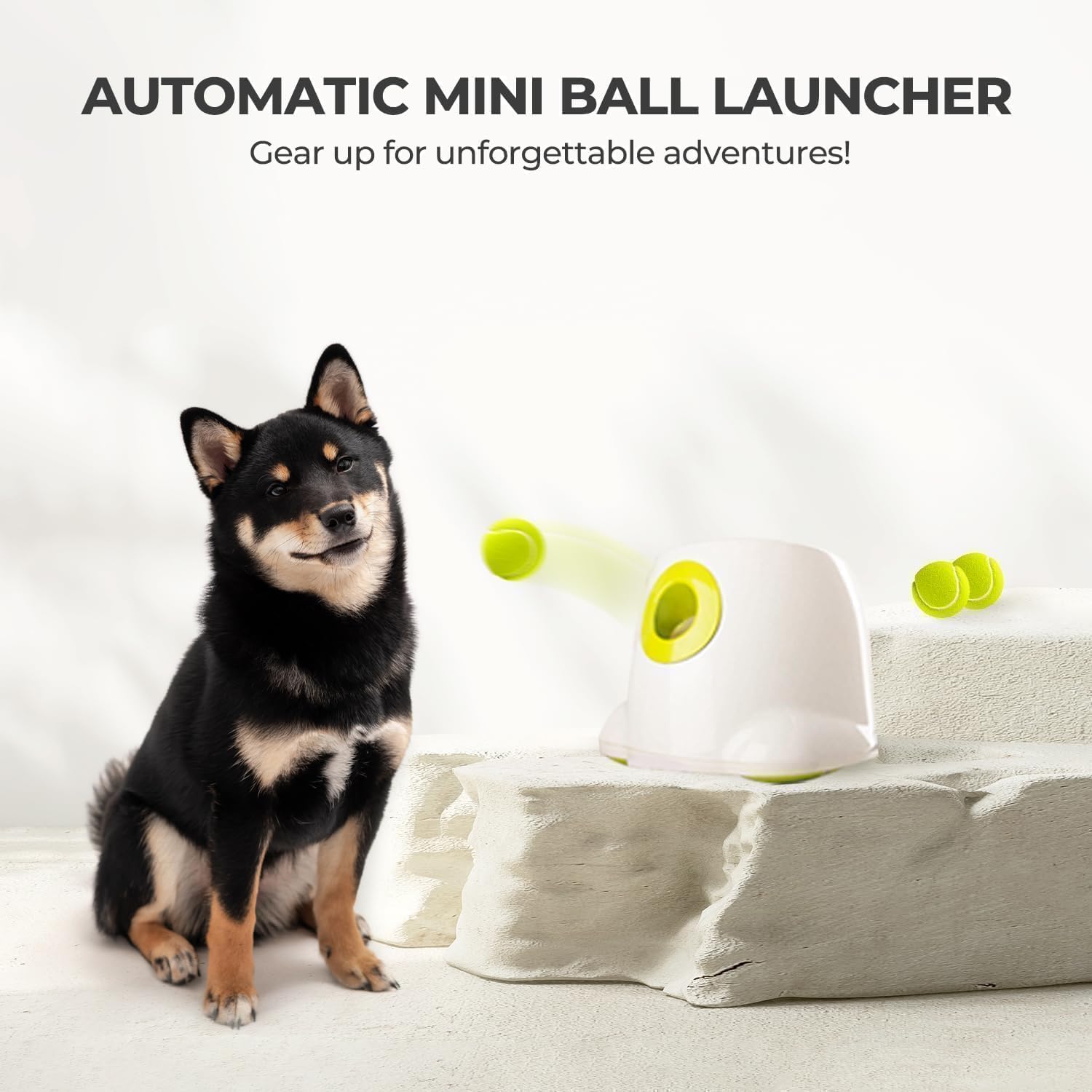ALL FOR PAWS Lanceur de balles Automatique interactif pour Chien, Machine à Lancer de balles de Tennis pour Dressage de Chiens de Petite et Moyenne Taille, 3 balles incluses, Version Mini