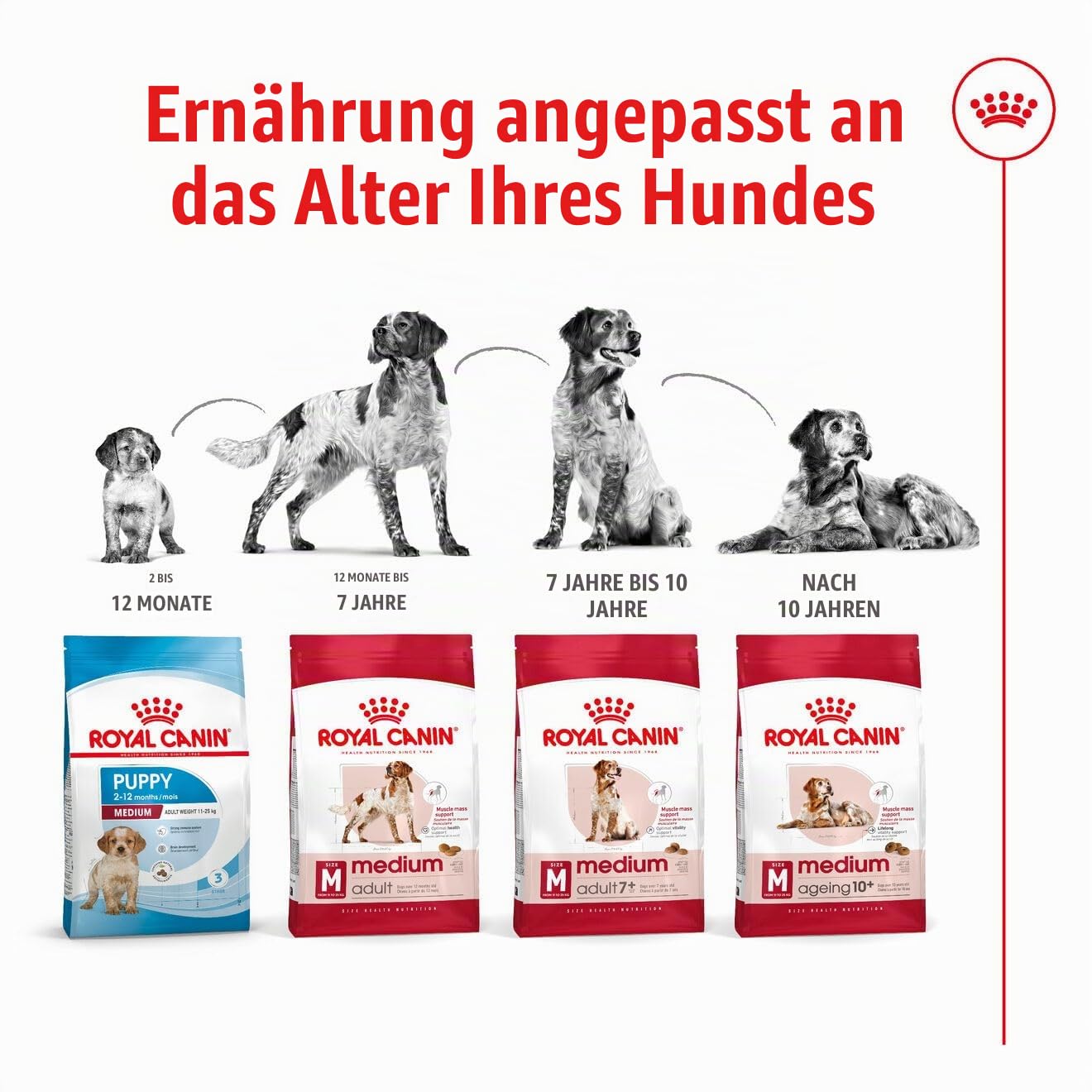 Royal Canin MEDIUM Adult 25, 15 kg- Hundefutter