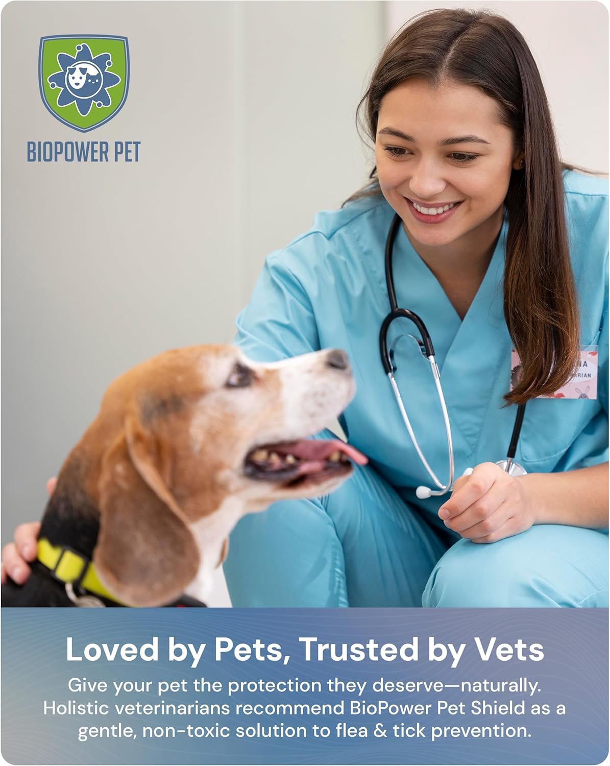 Natural Flea & Tick Repellent Collar Tag for Dogs & Cats – BioPower Pet Shield – Safe for Pets When Used as Directed – Lasts 1 Full Year - Regular Tag (2 Pack) - image 5