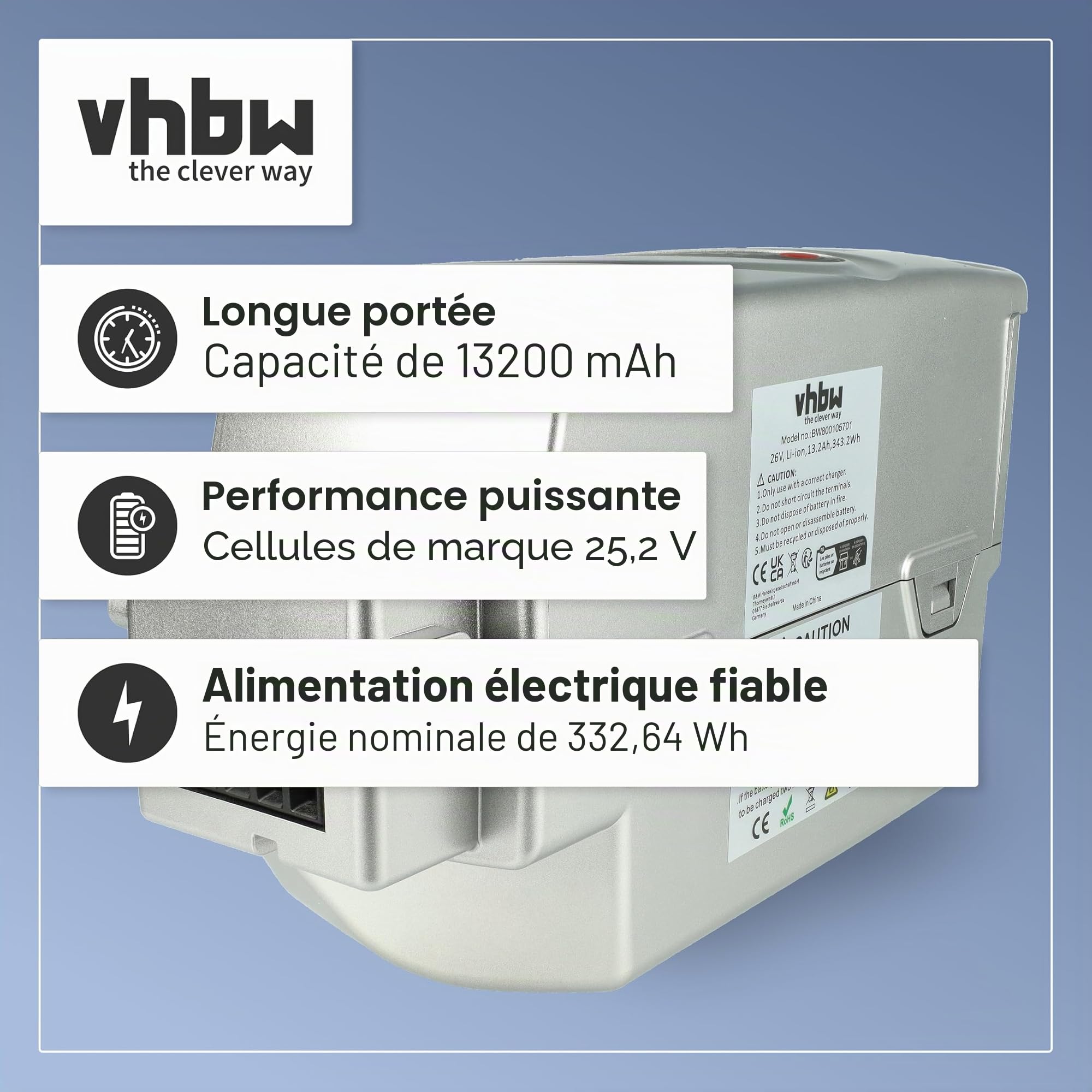 vhbw Batterie Compatible avec Flyer Cargo