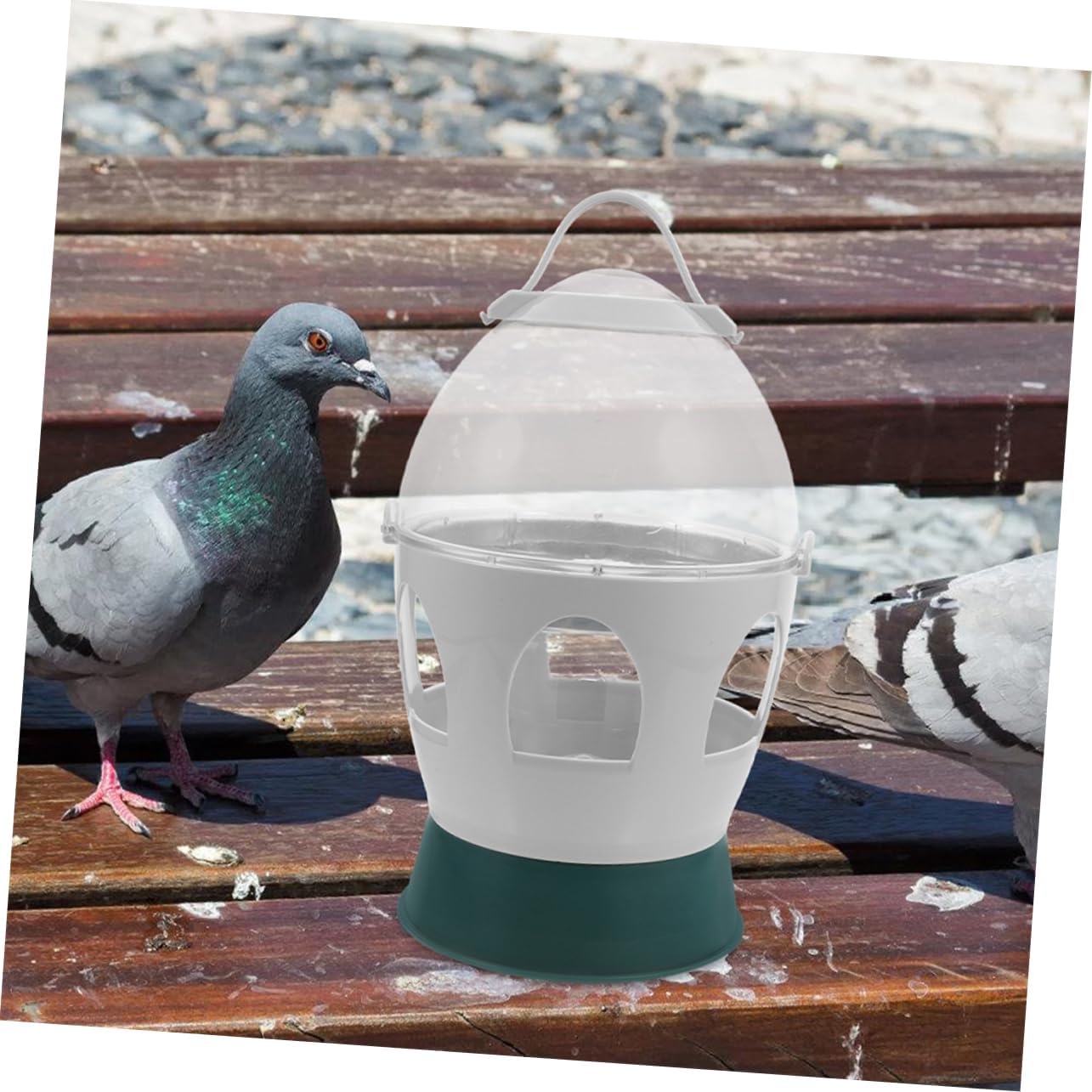 Bird Water Dispenser and Feeder for Pigeons Parrots and Doves Capacity Automatic Watering System Easy to Clean Bird Cage Accessory for Pet Owners