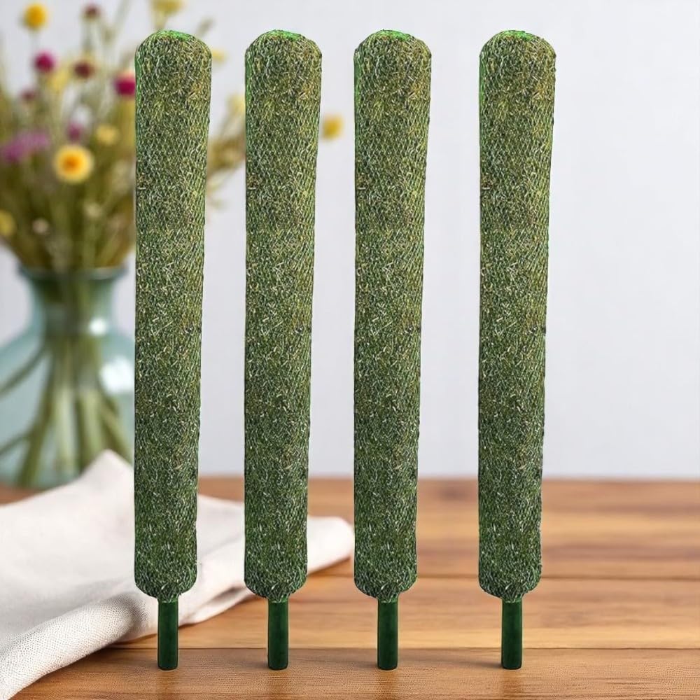 Moss Stick | Green Grass Pole | Perfect Support for Money Plant | Indoor & Outdoor Creeper Climbing Plants (Moss Stick 3FT [ 4 Pcs])