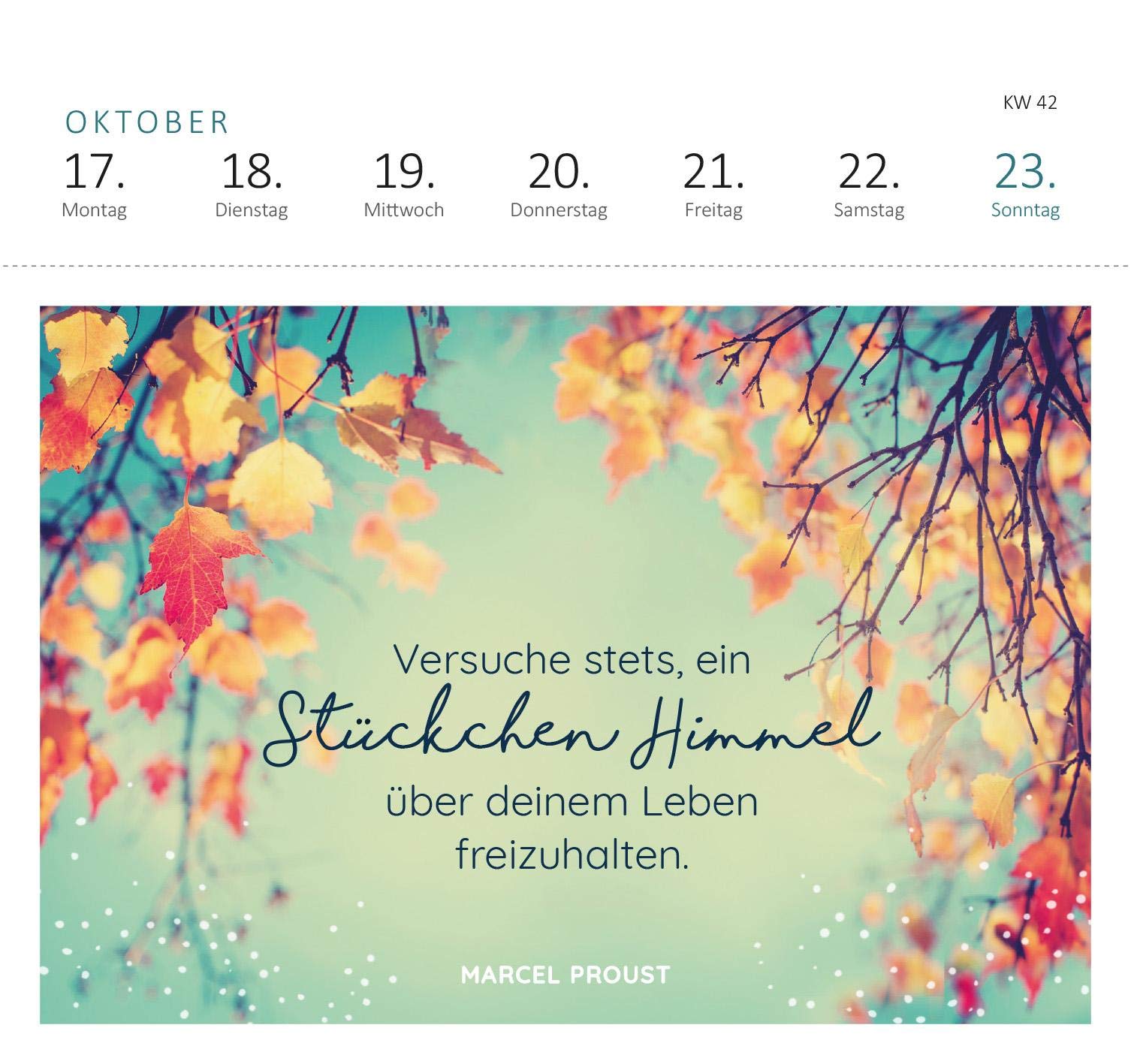 Postkartenkalender Raus ins Grüne 2022