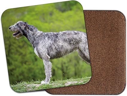 Amazon Co Jp ジャイアントアイリッシュウルフハウンドコースター 犬ハウンド子犬ブリーダーアイルランド獣医ギフト ホーム キッチン