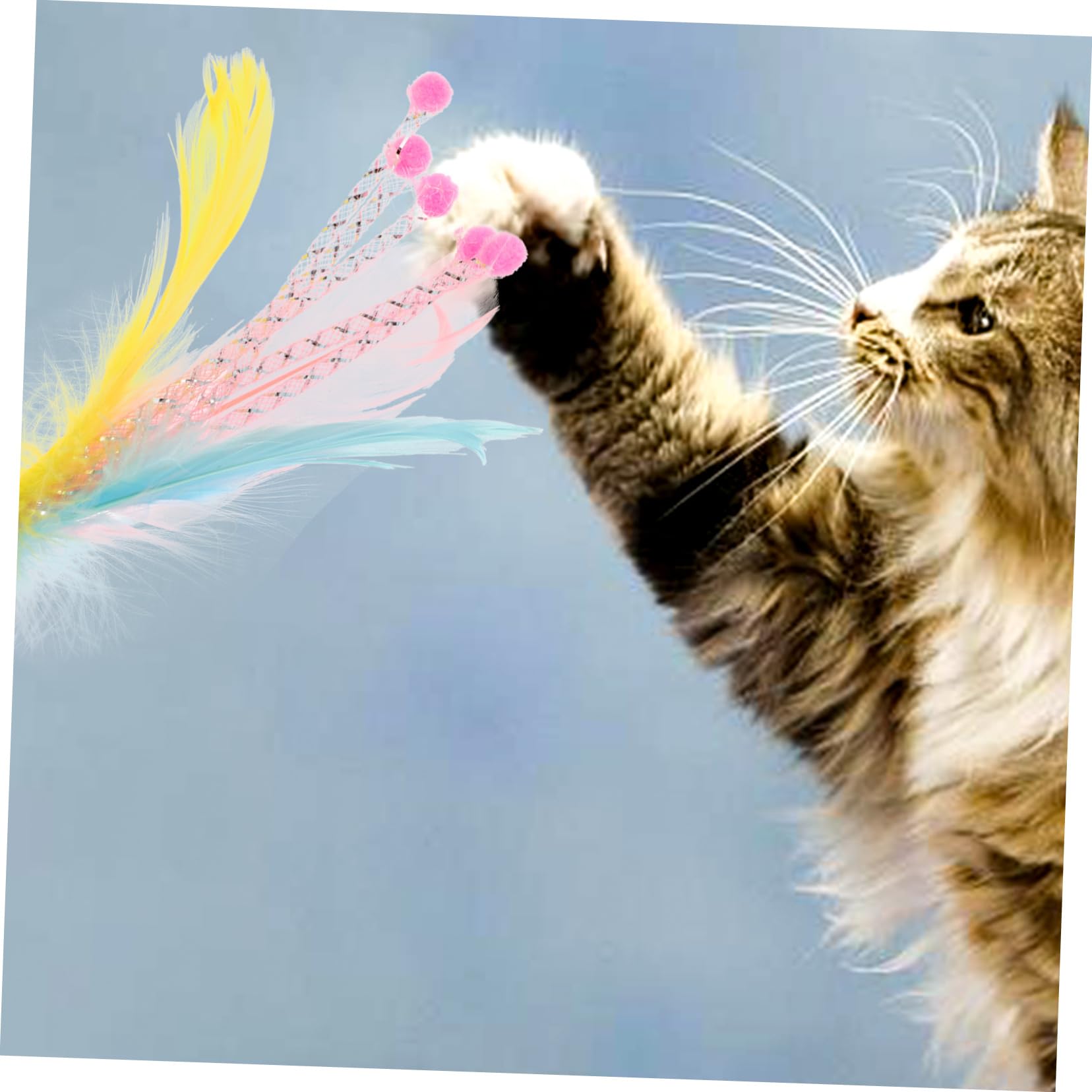 Kisangel 40pièces Jouets Plume pour Chats Canne à Interactive Remplacement De Jouets pour Chats Stimule Exercice Comportement